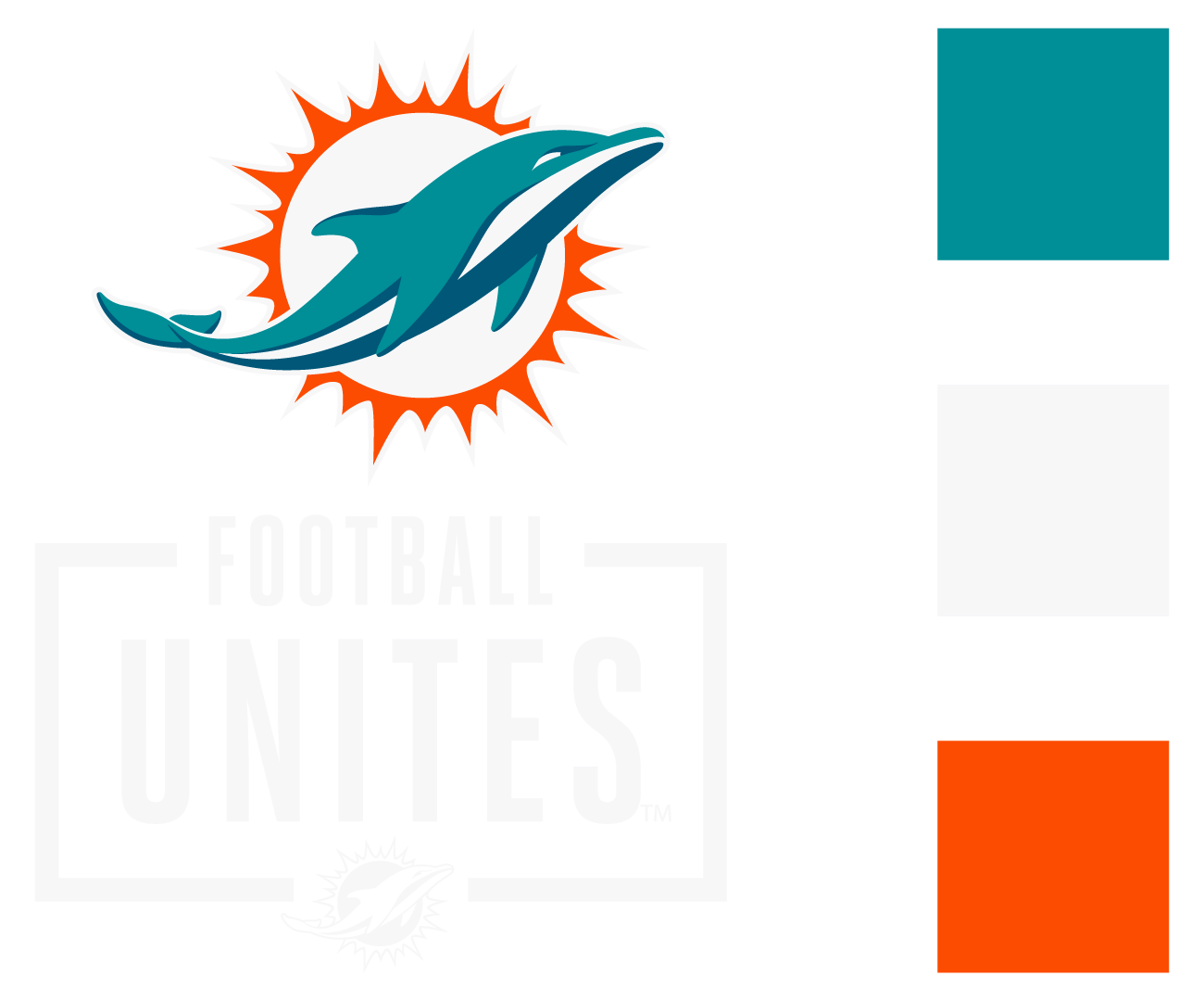 Miami Dolphins Branding